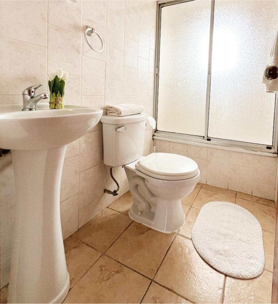 Hostal Feliza Valdivia Ngoại thất bức ảnh